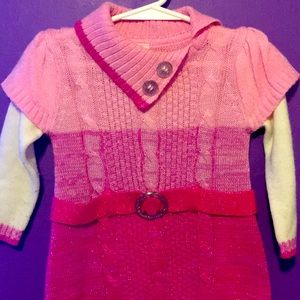 Winter Turtle Neck Dress